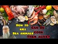 Islamic way of killing sea animals like crab, lobster, fish..Can we cook them alive? Assim al hakeem