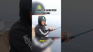 BASICS OF SLOW PITCH JIGGING #fishing #jigging #fishingvideo #fish