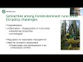 thematic group on forest dominant rural areas leena leskinen