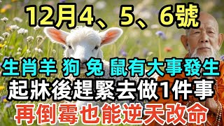 不得了啦！12月4、5、6號，生肖羊、狗、兔、鼠有大事發生，起牀後趕緊去做1件事，再倒霉也能逆天改命！