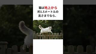 猫の知られざる秘密5選 #shorts #猫 #ねこ #動物 #役に立つ雑学