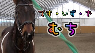 あーこっこ乗馬日記〜ゆーしゅーなオイラは、靴を履いてぐるぐるするぜ！ちょっと作業のトラックがうるさかったぜ！