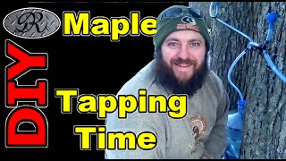 🍁 DIY Maple Tree Tapping | Collecting Maple Sap to Make Homemade Maple Syrup