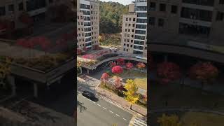 SNU dormitory in Autumn :)