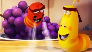 LARVA - LEVITATION | Cartoon Movie | Cartoons | Comics | Larva Cartoon | LARVA Official