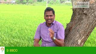 பருத்தி சாகுபடியில் இலைக்கருகல் நோய் கட்டுப்பாடு | Diseases Management of Leaf Blight of Cotton