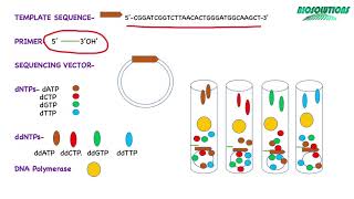 SANGER'S SEQUENCING and DATA ANALYSIS through PROBLEM BASED LEARNING | PRACTICE QUESTIONS | MAY 2021