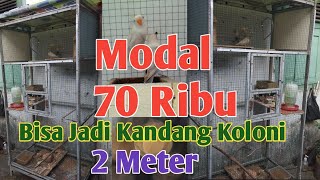 Cara Membuat kandang ternak || Murah meriah modal 70rb biaa buat Kandang Aviary Minimalis