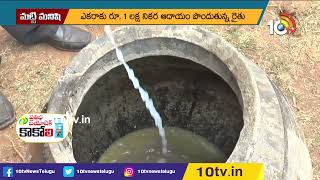 రసాయనాలు లేకుండా కూరగాయల పంట | Vegetable Farming Without Chemicals | Matti Manishi | 10TV Agri