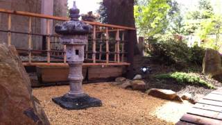 My japanese Garden - Spring 2012