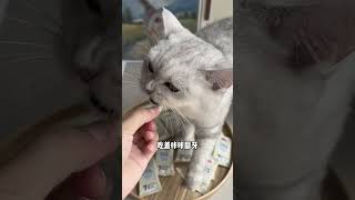 没有哪只小猫咪能拒绝 奶香浓郁的羊奶棒 喔～宠物零食 猫零食 磨牙棒 吃货猫 宠物冻干零食