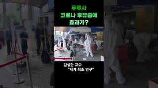 우루사, 코로나 후유증에 효과가