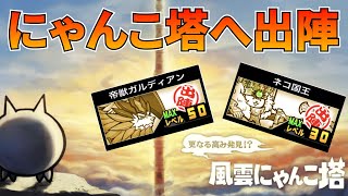 【しっかり解説】プレイスキル低くてもOK！風雲にゃんこ塔46～48階完全放置攻略！ガルディアン＆ネコ国王を使用した最強メンバーご紹介します！！【おとなのにゃんこ大戦争】