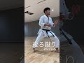 後ろ蹴り　backkick karate kata 空手 shotokan japan 形 kumite training good