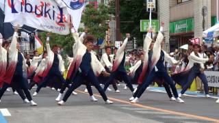 朝霞 いぶき／東口A会場／第14回浦和よさこい2017