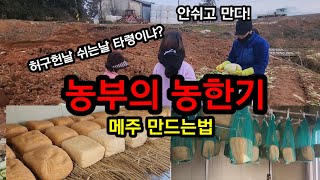 (노처녀의 시골살이)된장만들기의 기본/메주 띄우기/메주 만들기/농부의 농한기