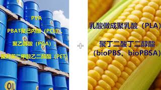生分解性プラスチック　Biodegradable plastic　生物降解　技术篇