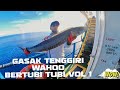 Fish 4 Wahoo | Gasak ikan Tenggiri Wahoo Strike Bertubi Tubi Vol 1