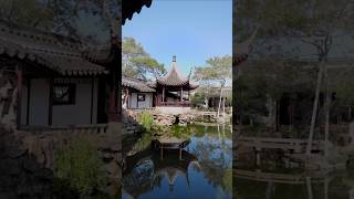 蘇州风景 苏州园林 中式美学#travel #苏州 #chinatravel #weekendtrip #beautiful