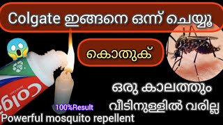 100%രോഗം പരത്തുന്ന കൊതുകിനെ തുരത്താൻ എന്തെളുപ്പം|Powerful mosquito repellent|Usefultips