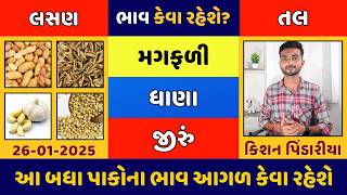 નવો સર્વે: રમજાન મહિનાથી જીરામાં સુધારો આવશે? | જીરું,ધાણા,મગફળી,લસણ,તલનો સર્વે | Aaj na bajar bhav