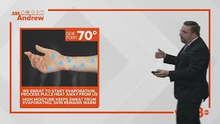 Why does humidity make it feel hotter?
