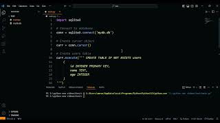 insert list of users data in database using executemany function sqllite3 python