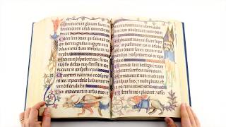 Luttrell Psalter - Facsimile Editions and Medieval Illuminated Manuscripts