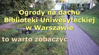 Ogrody na dachu biblioteki Uniwersytetu Warszawskiego i bulwary nadwiślańskie to warto zobaczyć.