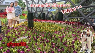 สวนดอกไม้เมืองหนาวระยอง ดอกทิวลิป (เข้าชมฟรี) |บิวพากินพาเที่ยว