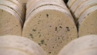 Aveyron, the home of France's iconic Roquefort cheese • FRANCE 24 English