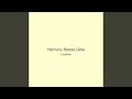 Harmony Breeze Glow