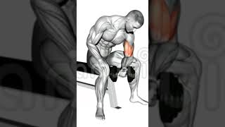 Bicep workout Exercise || Home and Gym | #shorts #fitness #bicepsworkout
