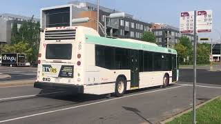 CIT Le Richelain (exo) Novabus LFS #309218 (2018) \u0026 #300012 (2012) Action Shot in Montreal