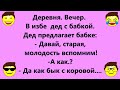 Анекдоты для душевного отдыха и нескончаемого смеха