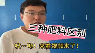 复合肥 缓释肥 有机肥 有啥区别？如何正确施肥？