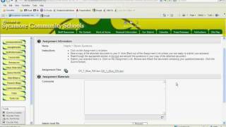 Answer Alice Questions.mpeg