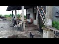 BUAT PARA PETANI WALET PEMULA, PERHATIKAN VIDEO INI KALAU MAO BELI SP!!!🙏😎