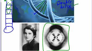 Mr. Walker's Biology 30: DNA History and Structure