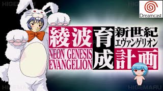 新世紀エヴァンゲリオン 綾波育成計画 : Evangelion. ドリームキャスト実機