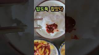 #살찌우는 범인 밥도둑  잡았다  🤣 #갈치속젓 한번 잡쏴봐 🤣👍👍👍