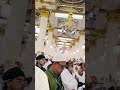 2k24 #hajj2024 #madina #madinah #pakistan #saudiarabia #shortvideo #shorts makkah live madina live