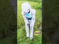 ai smart robot mows grass and carries it back ai智能机器人野外割草并带回 🤖🌿