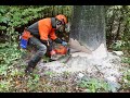 Dangerous Biggest Cutting Down Trees With Chainsaws, Extreme Fastest Skills Tree Cutting