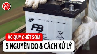 Ắc quy xe nhà tôi nhanh hỏng quá - Đi tìm nguyên nhân và cách xử lý | TIPCAR TV