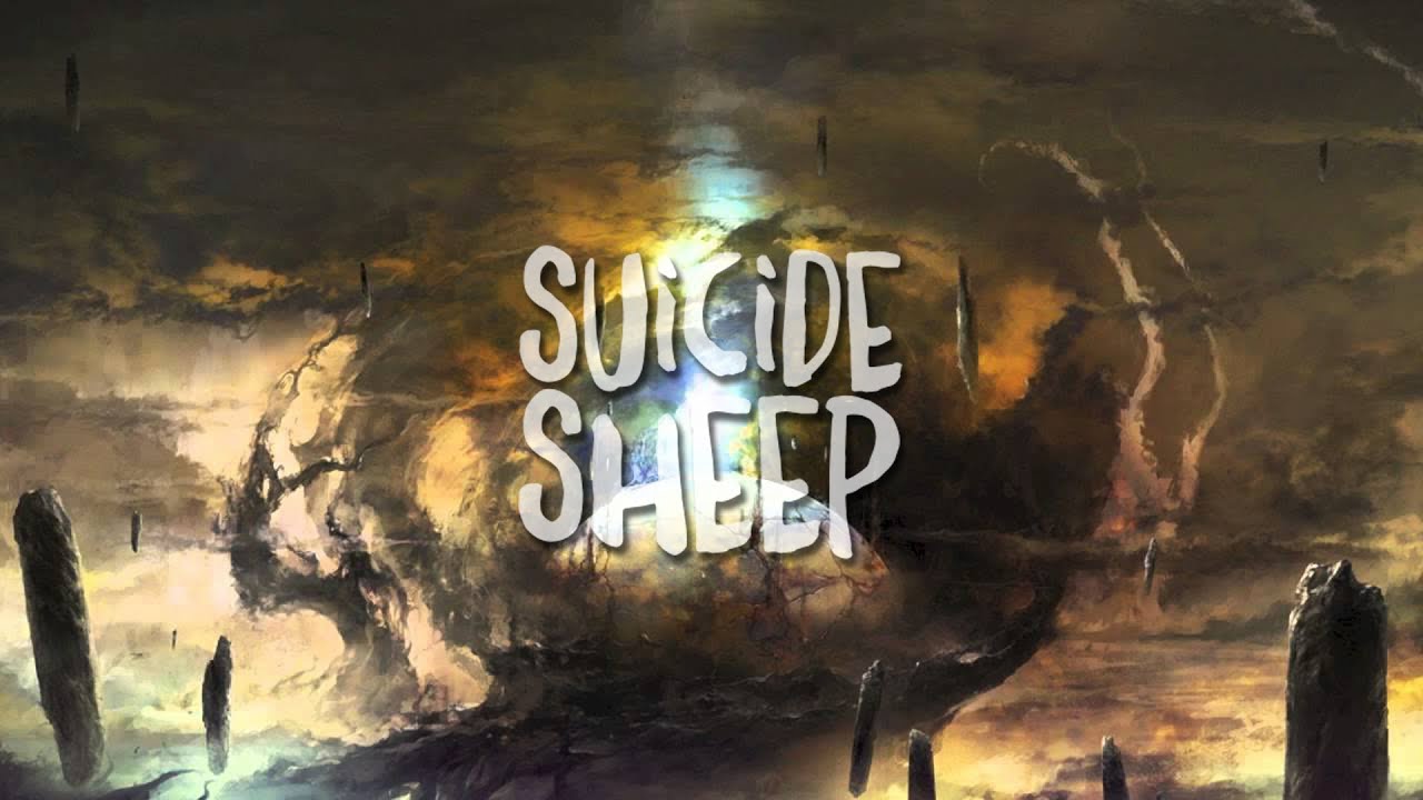 Owl Vision Lightshy Youtube