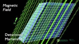 Magnetic Fields: Shape Memory Effect