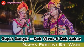 SUPER BANYOL - Gek Virus dan Gek Sekar DiPandung Pengibing | Napak Pertiwi Banjar Wani