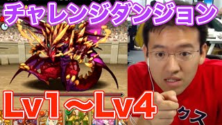 【パズドラ】新実装！チャレンジダンジョンLv1〜Lv4に挑戦！！