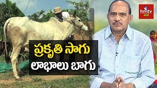 Natural Farming Guide By Haribabu | Importance of Natural Farming | hmtv Agri